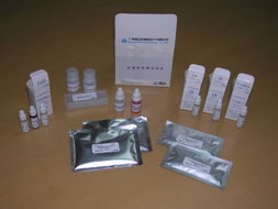 廣州深達生物制品技術轉讓 探索科技轉化與產業升級新路徑